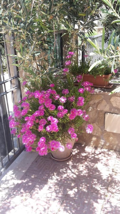 Modus B&B San Vito Lo Capo Exteriér fotografie